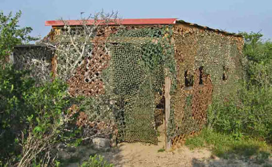 FSP-9.jpg