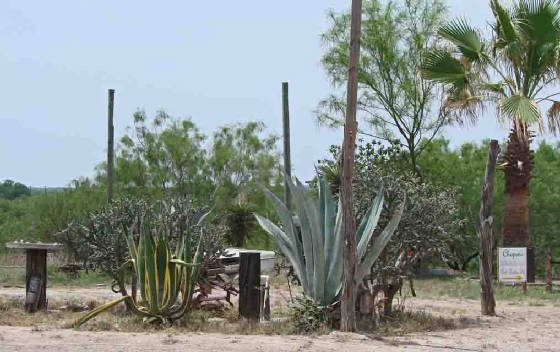 FSPchap-1.jpg